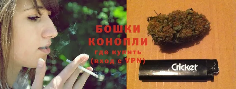 Марихуана SATIVA & INDICA  Нестеровская 